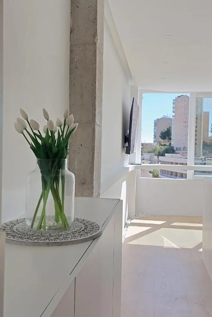Ferienwohnung Blue Loft Sea View Palma Apartment